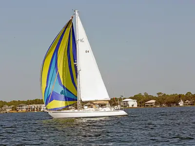 Hylas 49