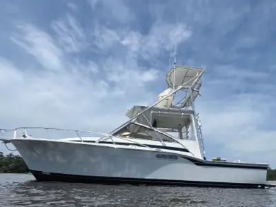 1993 Blackfin COMBI 31