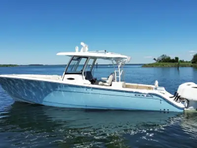 Cobia 344