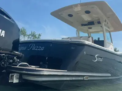 2015 Scout 320 LXF