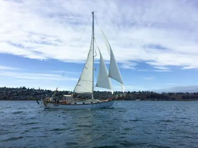 Alajuela Corp 38