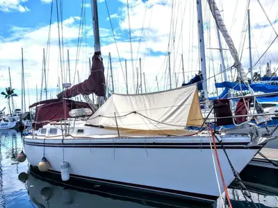 1983 Morgan 45 4