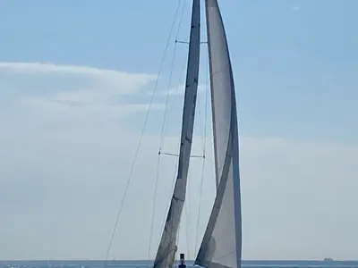 Tartan 41