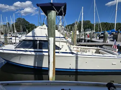 1983 Bertram FLYBRIDGE CRUISER