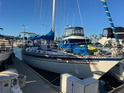 Tayana 42