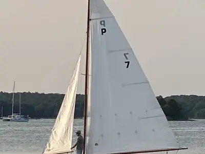 Golden Era Petrel