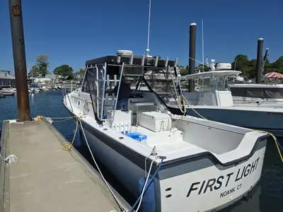 Hunter 30
