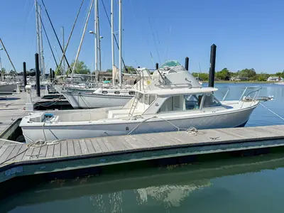 1972 Bertram CRUISER