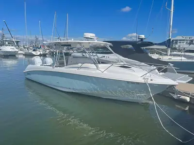 Boston Whaler 320 Outrage Cuddy