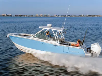 Blackfin 302 DC