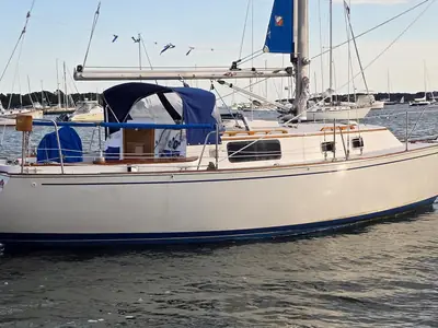 Morgan 32