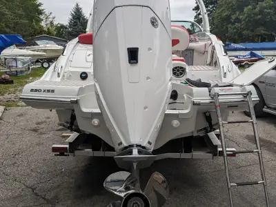 Crownline 290 XSS
