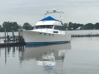 Bayliner Corp 3818