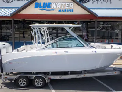 Stingray 259DC