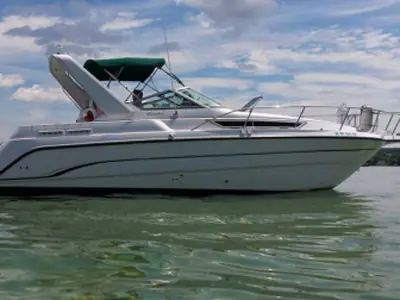 Chaparral Signature 290