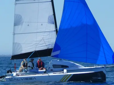 Tricat 20