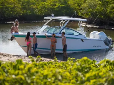 Blackfin 272DC