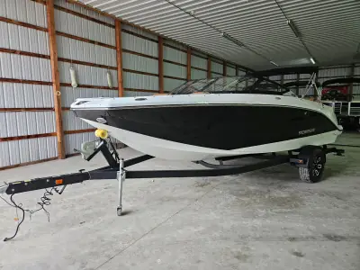 Scarab 215 ID