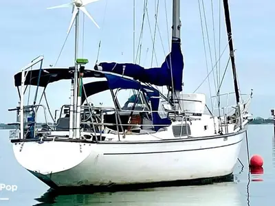Morgan 382