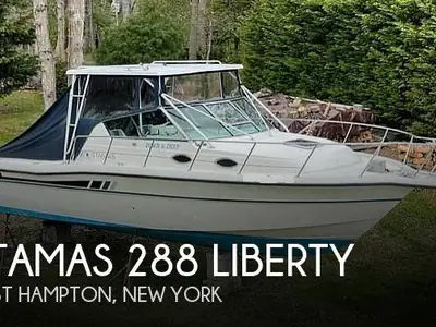 1988 Stamas LIBERTY 288