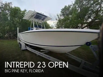 Intrepid Powerboats 23 OPEN