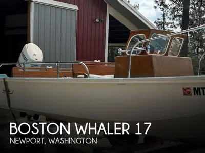 1971 Boston Whaler SUPER CAT 17