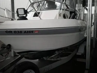 Campion 622