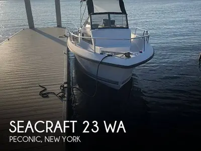 1989 Sea Ray 23