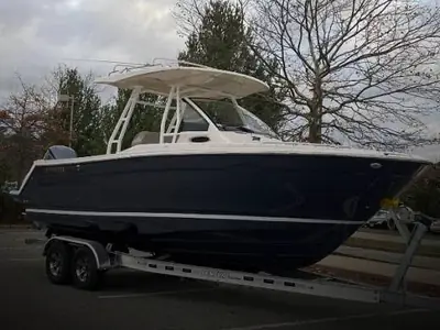 Cutwater C 24 Cw