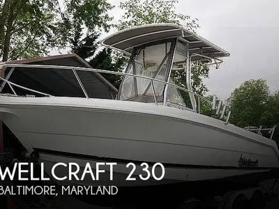 1999 Wellcraft Corp FISHERMAN 230