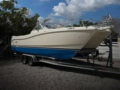World Cat 246DC