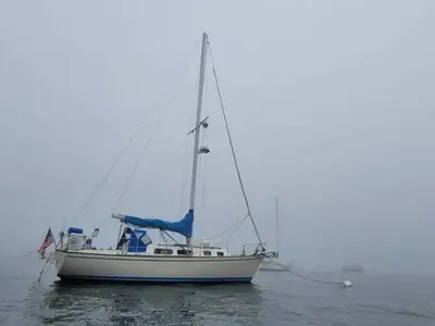 Pearson 323
