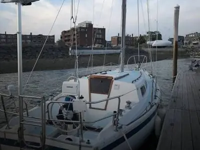 Cal 29