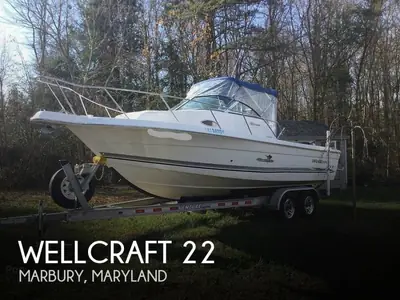 Wellcraft Corp 22 WALKAROUND