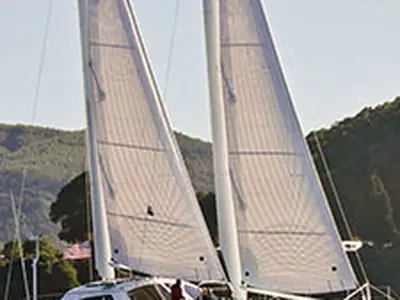 Chris White Hammerhead 54