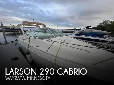 1998 Larson Cabrio 290