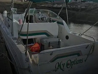 Rinker FIESTA VEE 265