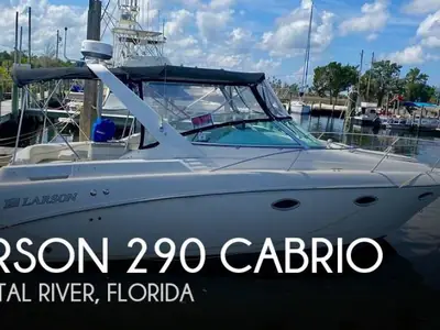 2000 Larson Cabrio 290