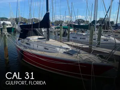 Cal 31