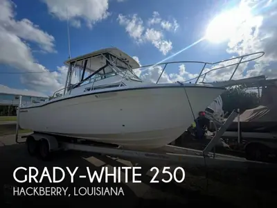 Grady White 250 DOLPHIN
