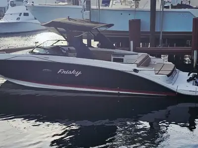 2018 Sea Ray SDX 290 Outboard