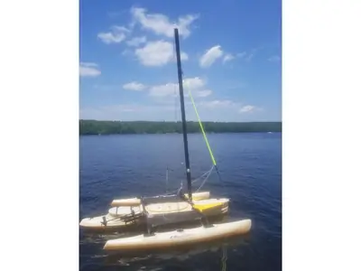 2008 Windrider 17