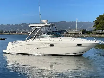 2008 Sea Ray Amberjack 290
