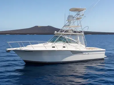 2000 Pursuit 3400 EXPRESS