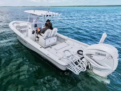 2019 Blue Wave 2800