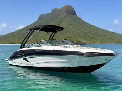 2026 Crownline E260 XS