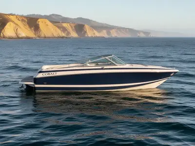 1995 Cobalt 253