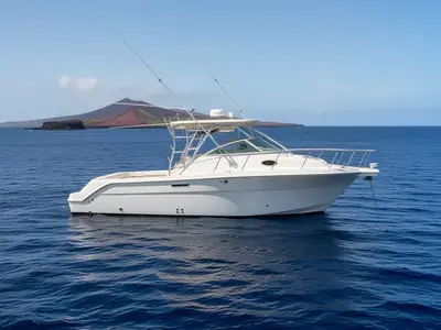 2004 Wellcraft 290 Coastal