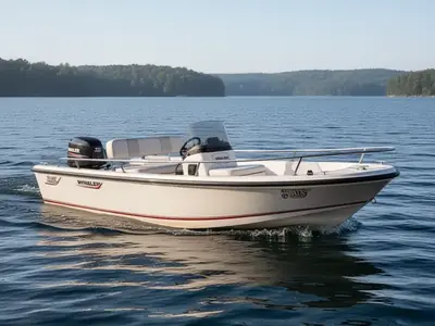 Boston Whaler 15 RAGE