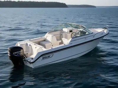 2005 Boston Whaler 210
